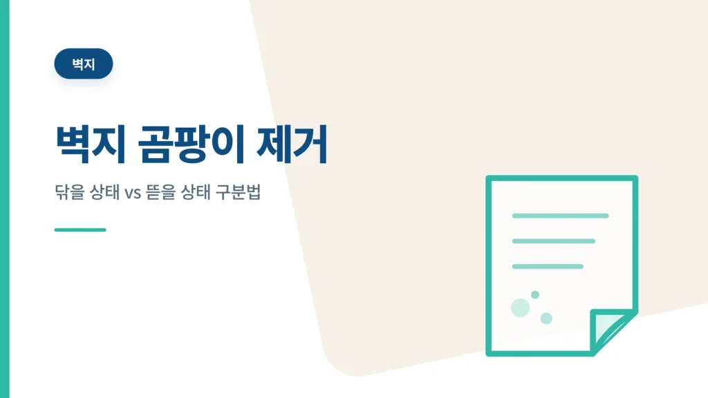 벽지 곰팡이 제거 정보 카드