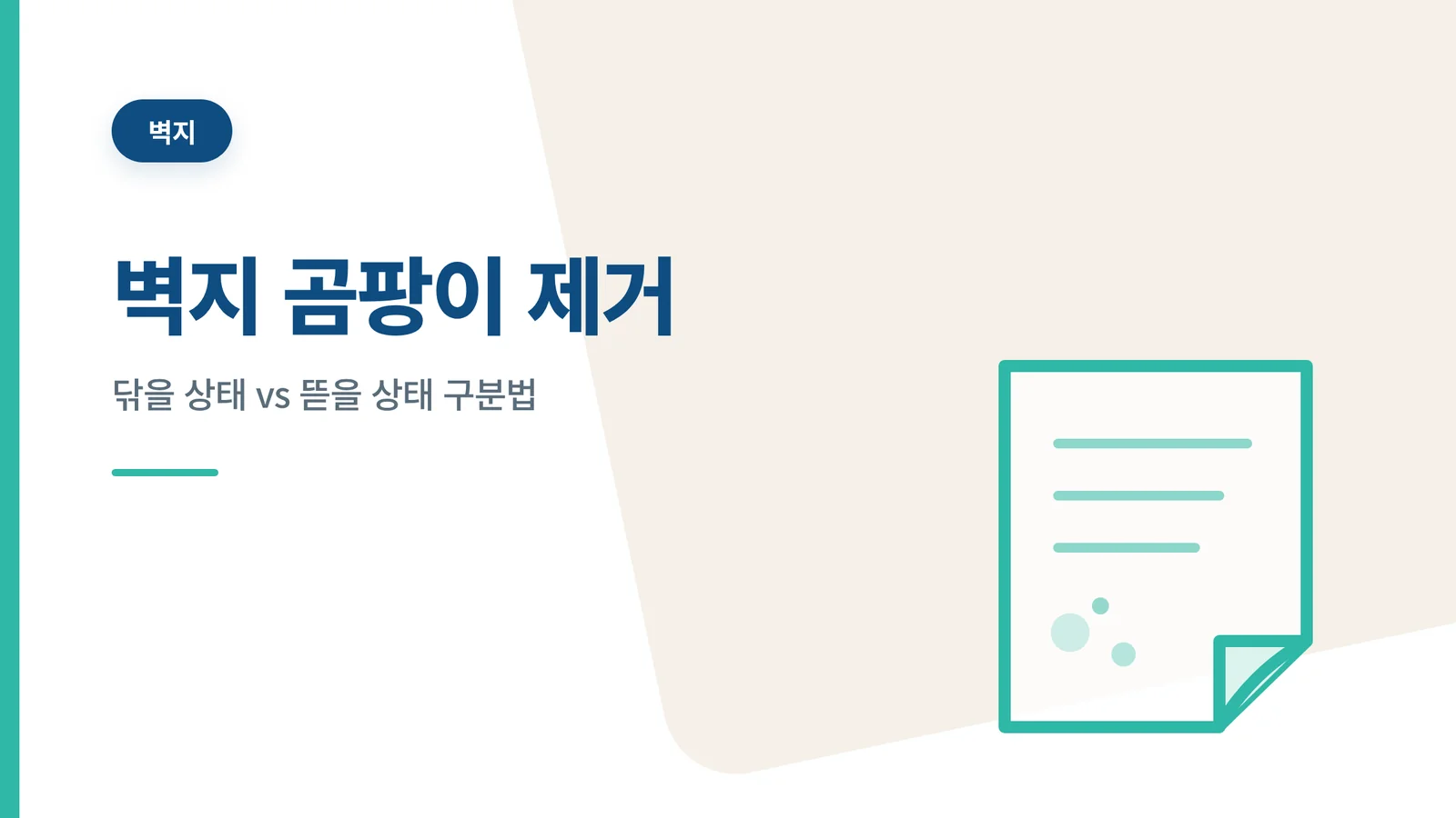 벽지 곰팡이 제거