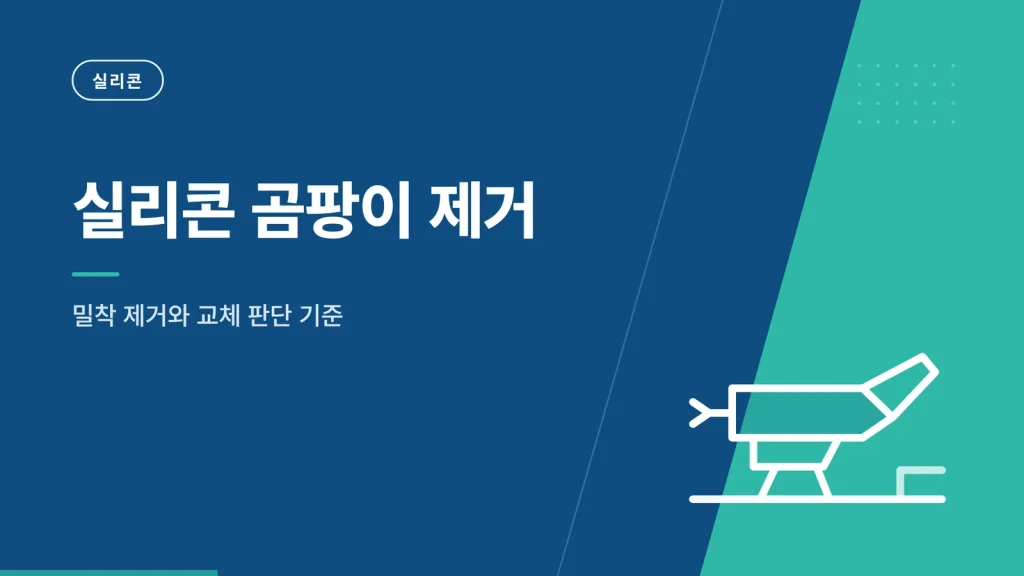 실리콘 곰팡이 제거 정보 카드