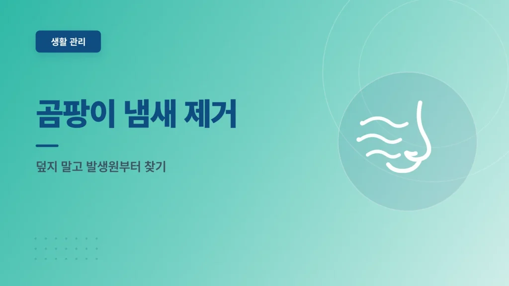 곰팡이 냄새 제거 안내 썸네일