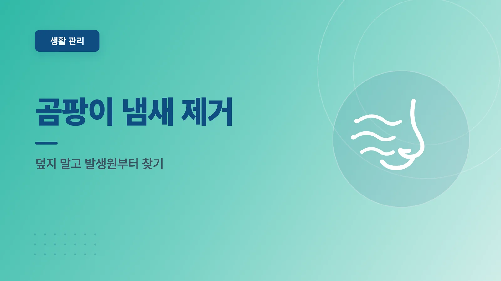 곰팡이 냄새 제거